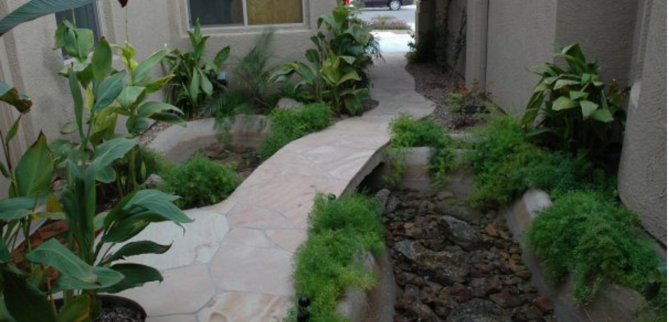 Company Information - Caribbean Dreams Landscapes - Phoenix Arizona